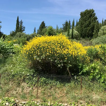 Apartment Filoxenia Kontogiannis