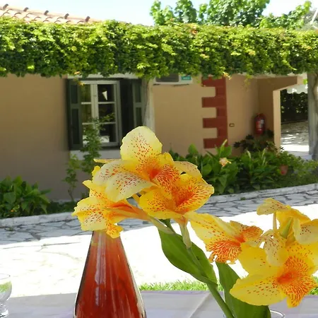 Apartment Filoxenia Kontogiannis