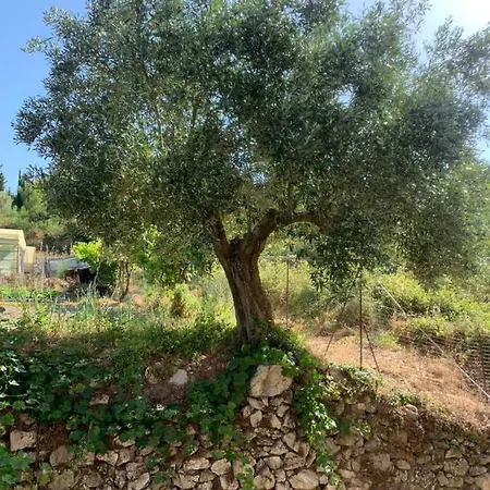 Lägenhet Filoxenia Kontogiannis Lazaráta
