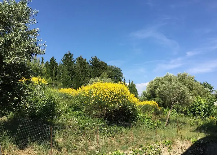 公寓 Filoxenia Kontogiannis